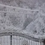 Zelenyj Gaj Guest house