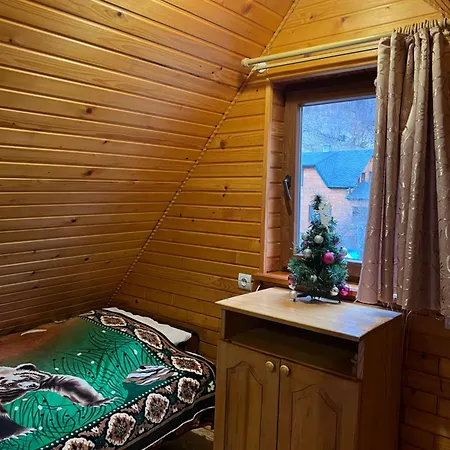 Zelenyj Gaj * Kvasir