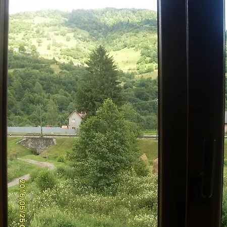 Pensión Zelenyj Gaj *