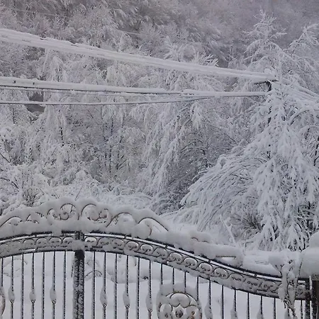 Zelenyj Gaj Konukevi