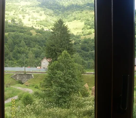 Casa de hóspedes Zelenyj Gaj *